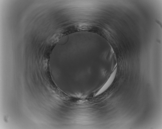 X0000098130271200805151122