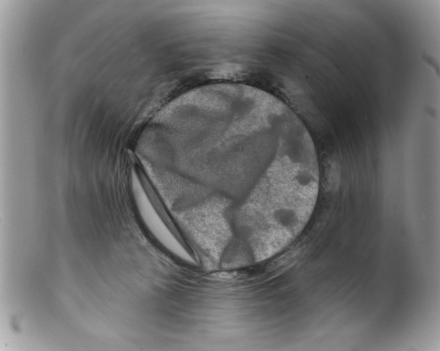 X0000098130273200805151122