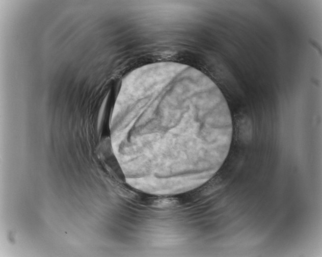 X0000098130274200805151122