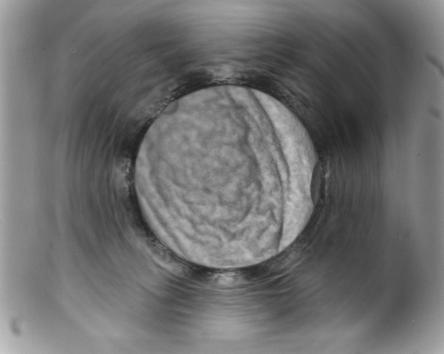 X0000098130275200805151122