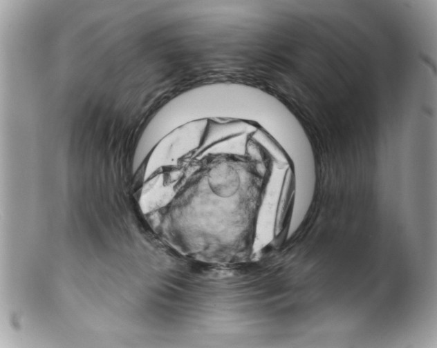X0000098130276200805151123
