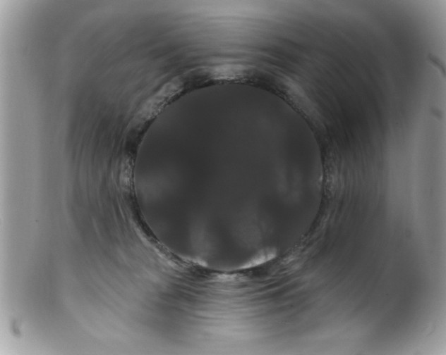 X0000098130277200805151123