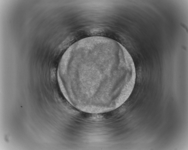 X0000098130278200805151123