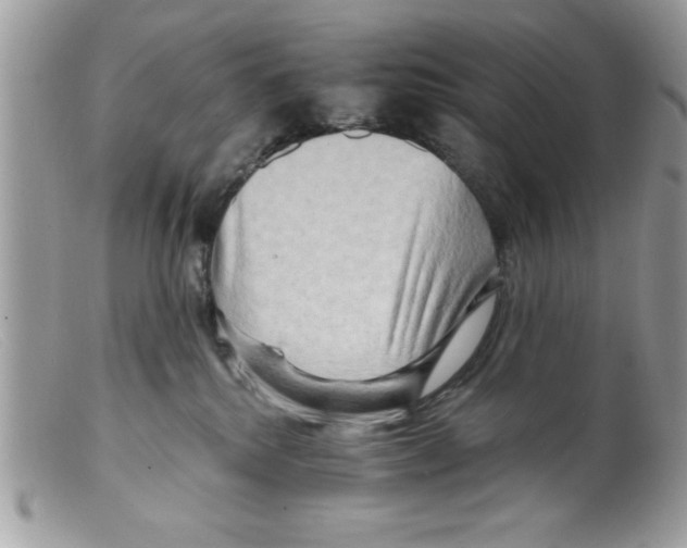 X0000098130280200805151123