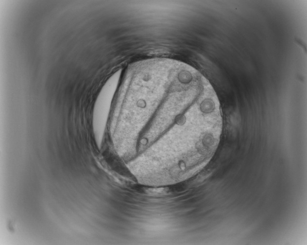 X0000098130281200805151123