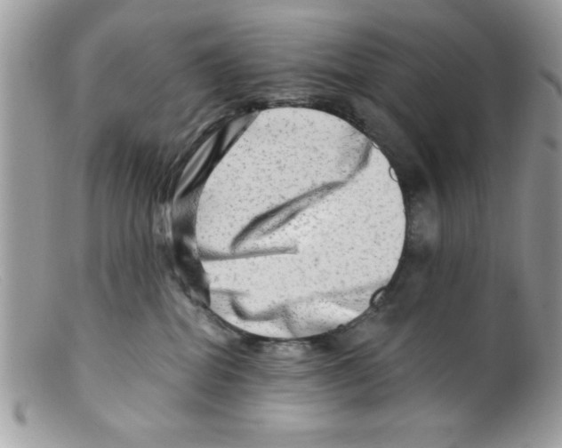 X0000098130282200805151123