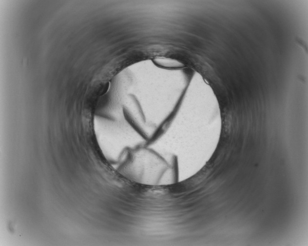 X0000098130283200805151123