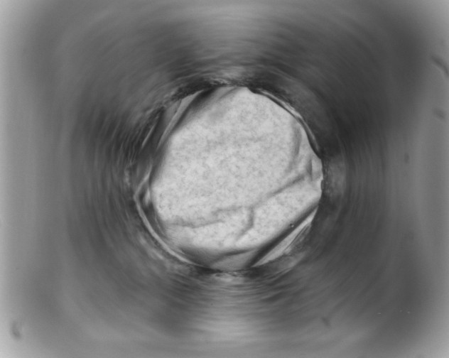 X0000098130284200805151123