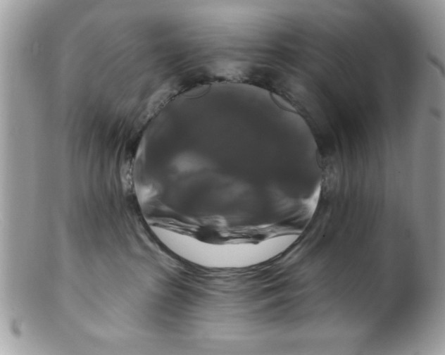 X0000098130285200805151123
