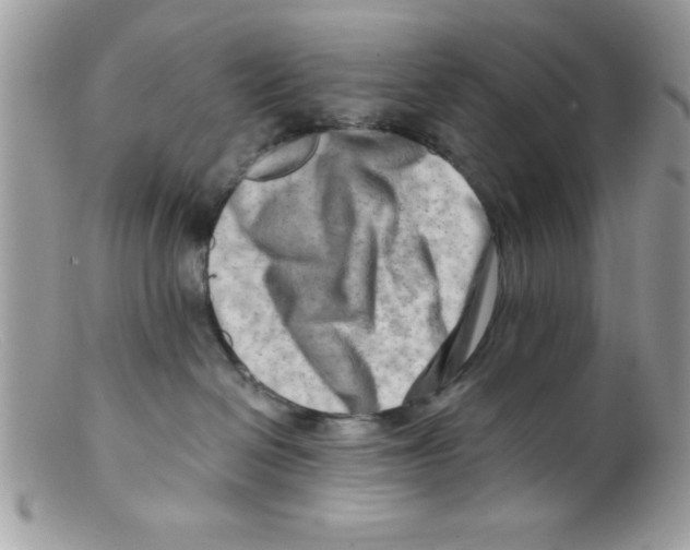 X0000098130286200805151123