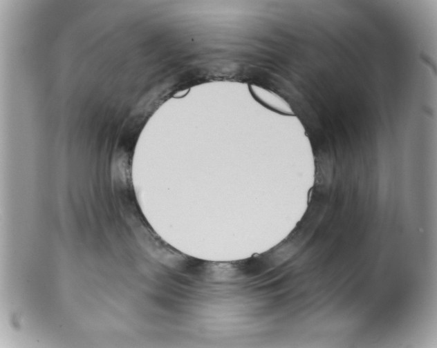 X0000098130287200805151123