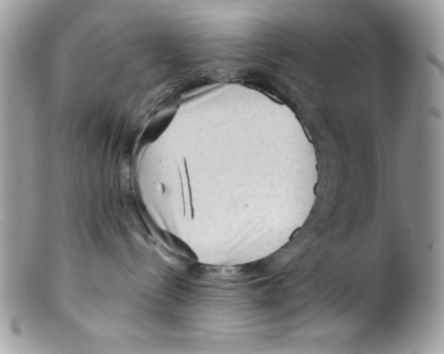 X0000098130288200805151123