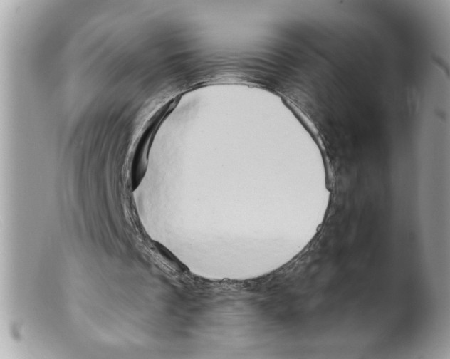 X0000098130289200805151122