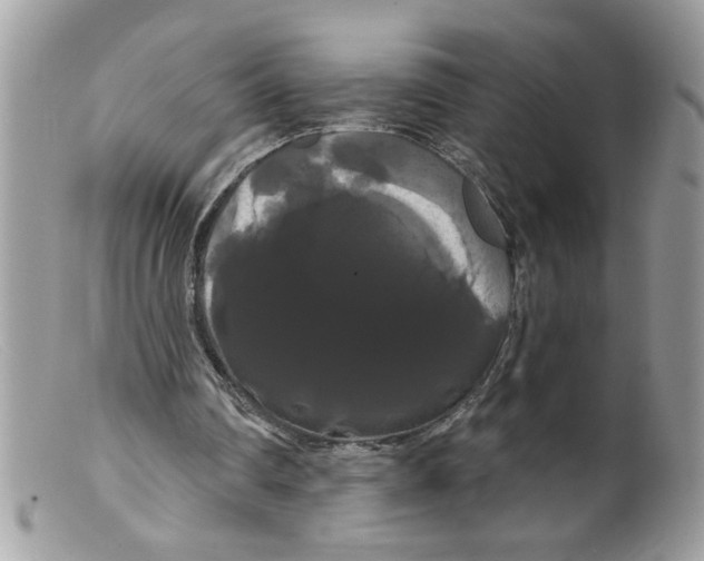 X0000098130290200805151122