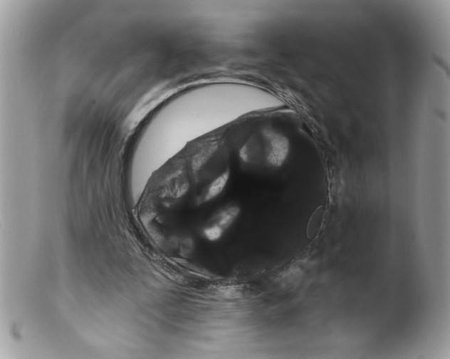 X0000098130295200805151122