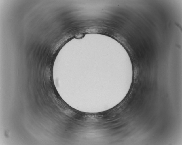 X0000098130297200805151122