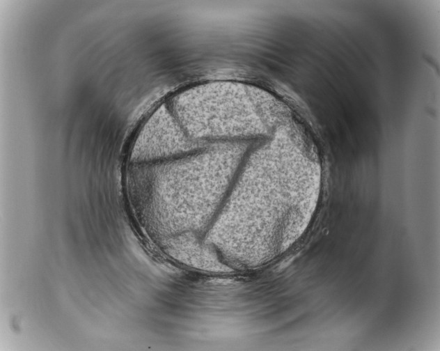 X0000098130298200805151122