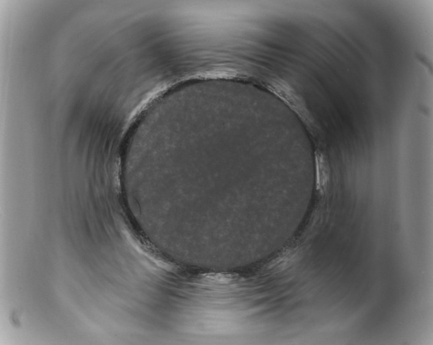 X0000098130300200805151122