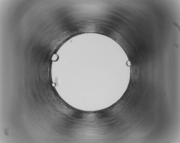 X0000098130301200805151122