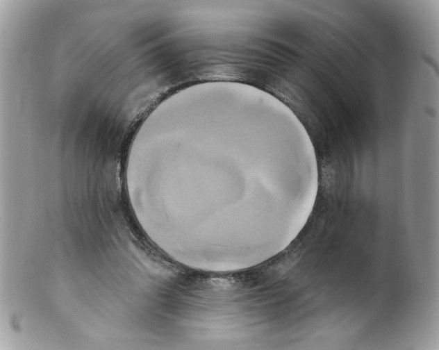 X0000098130302200805151122