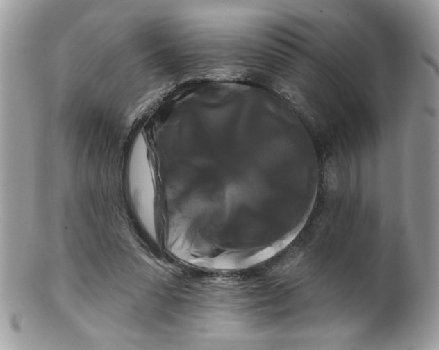 X0000098130303200805151122
