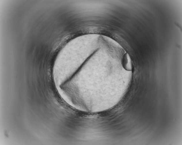 X0000098130306200805151122