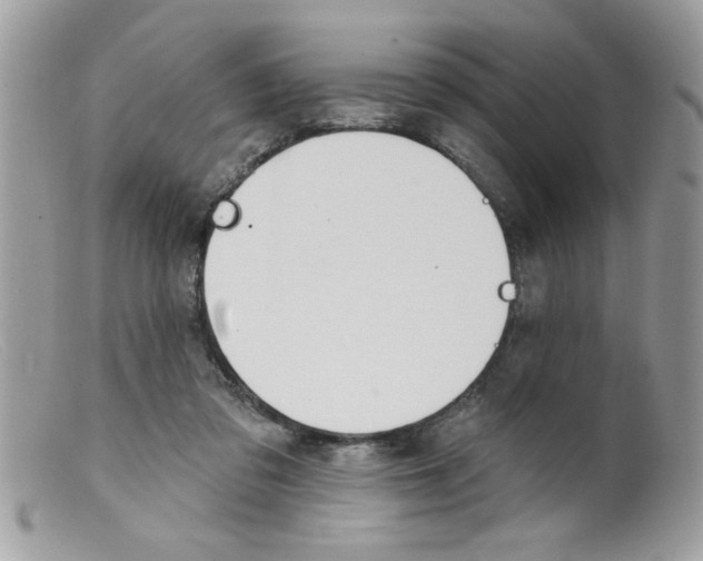 X0000098130309200805151122