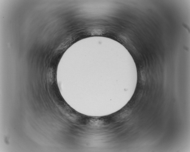 X0000098130311200805151122