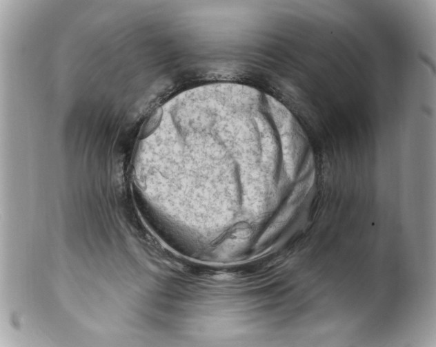 X0000098130312200805151122