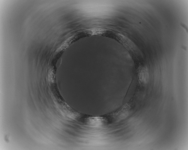 X0000098130316200805151122