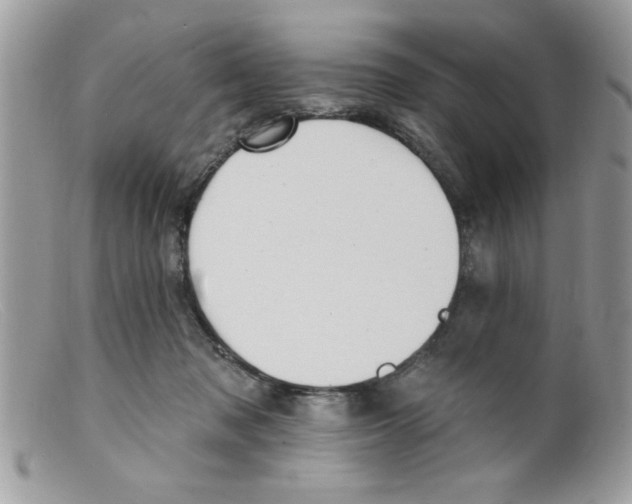 X0000098130317200805151122