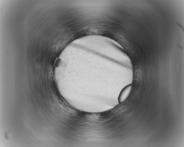 X0000098130318200805151122