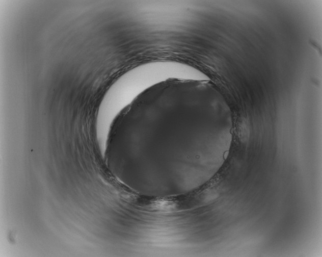 X0000098130319200805151122