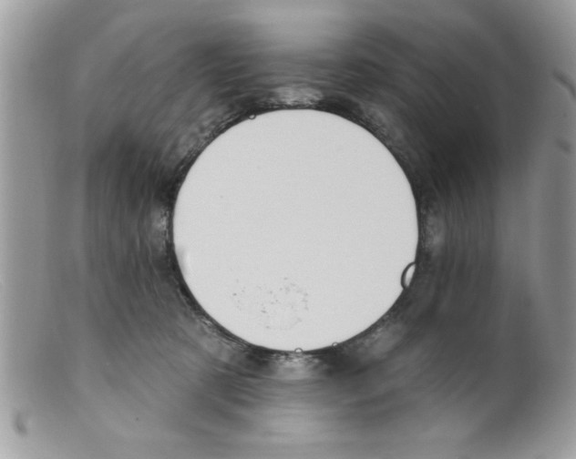 X0000098130321200805151122