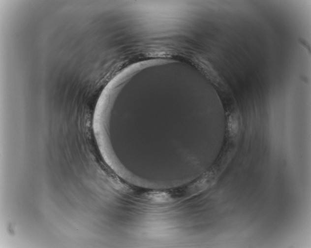 X0000098130322200805151122