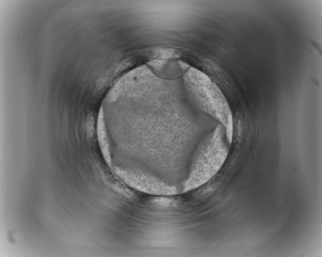 X0000098130326200805151121