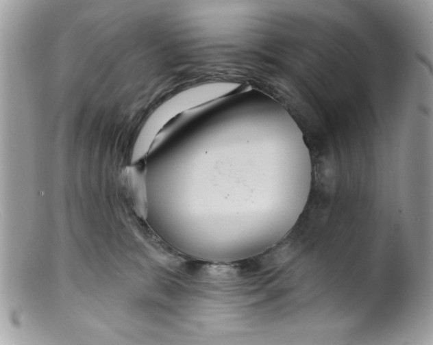 X0000098130327200805151121