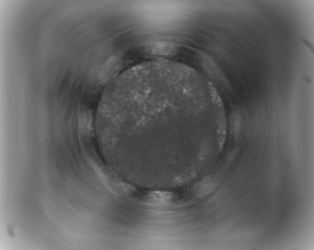 X0000098130328200805151121