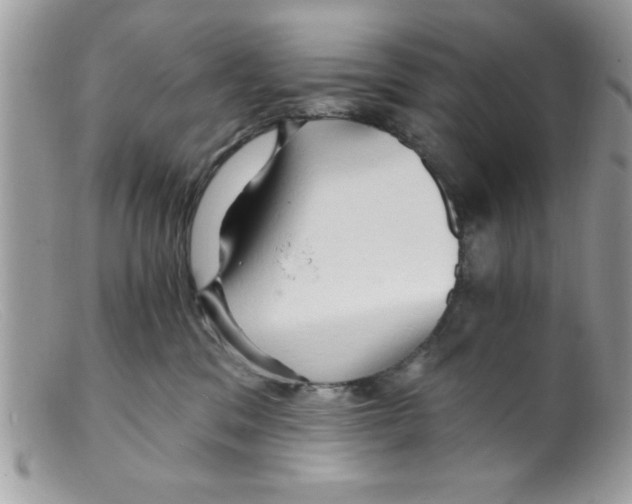 X0000098130329200805151121