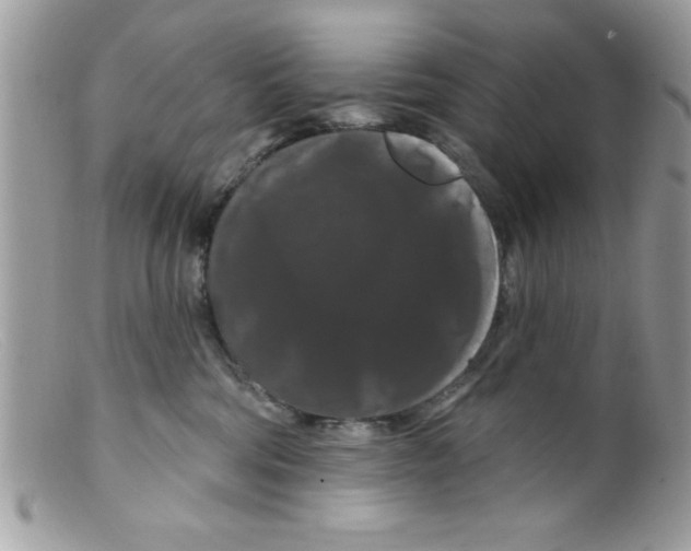 X0000098130330200805151121