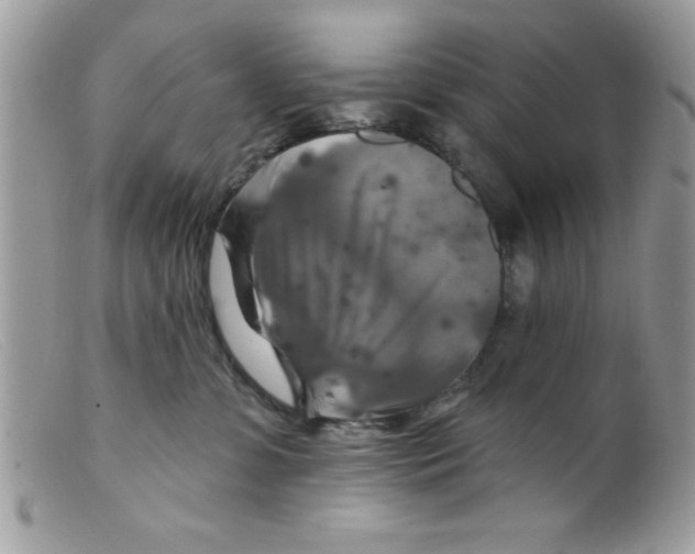 X0000098130331200805151121