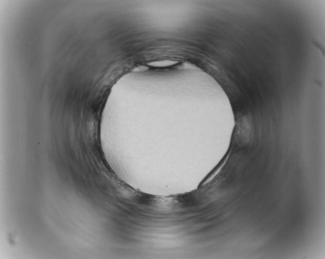 X0000098130333200805151121
