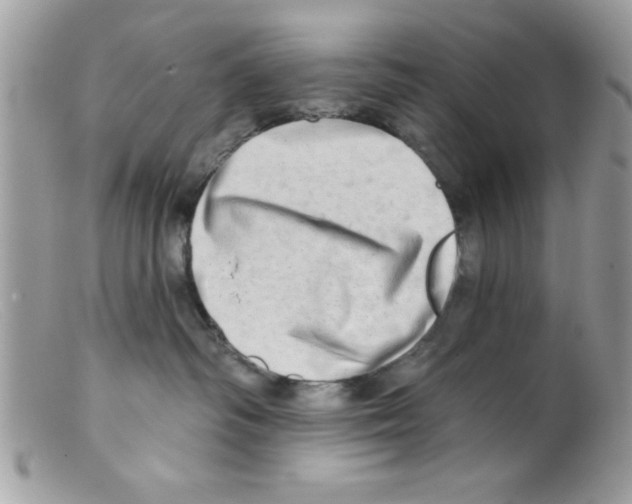 X0000098130334200805151121