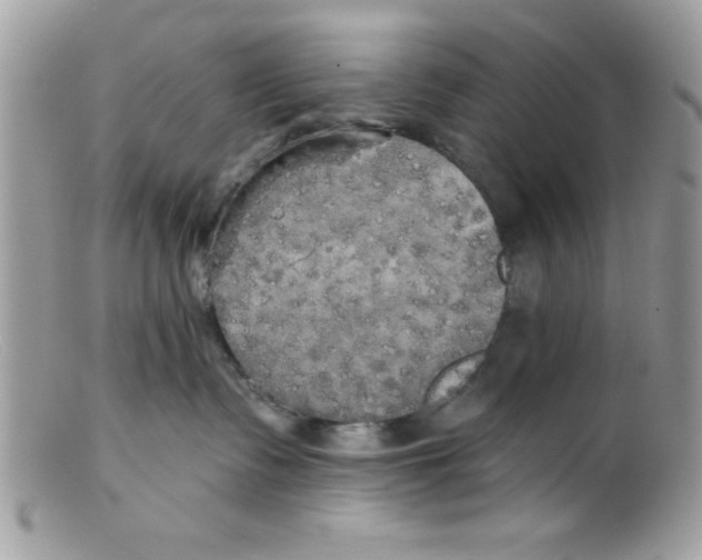 X0000098130335200805151121