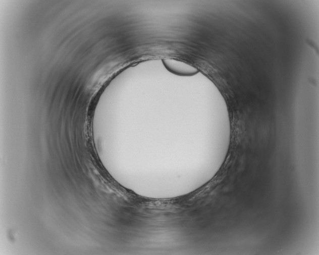 X0000098130338200805151121