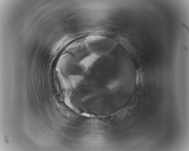 X0000098130339200805151121