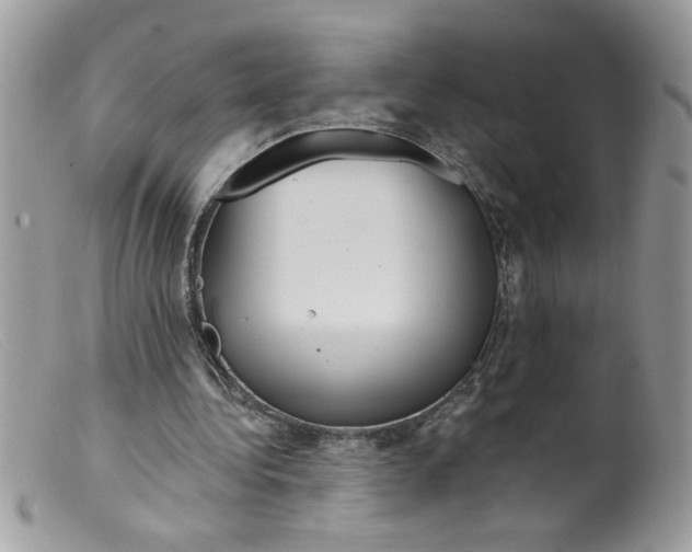X0000098130340200805151121