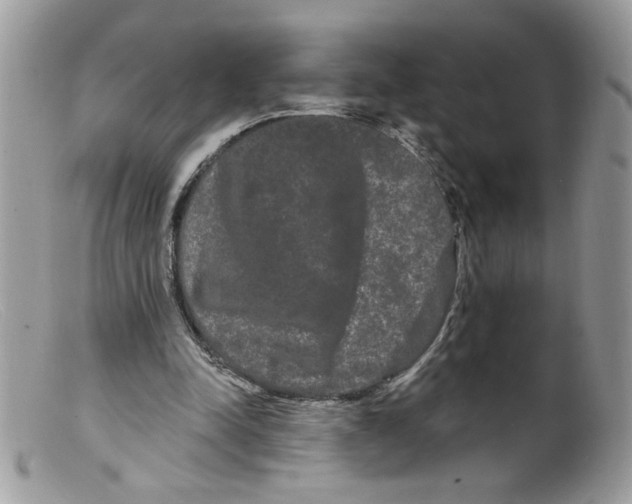 X0000098130342200805151121