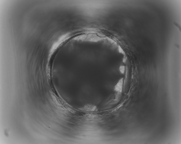 X0000098130343200805151121