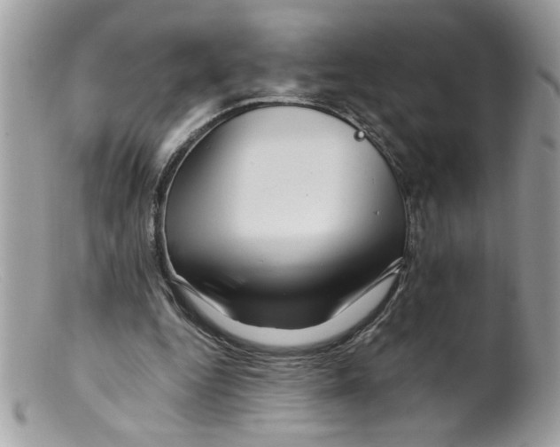 X0000098130344200805151121